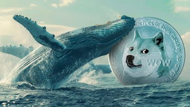 انباشت ۷۰۰ میلیون دلار دوج‌کوین توسط نهنگ‌ها! آیا زمان صعود فرا رسیده؟