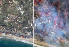 اژدها رام نمیشود؛ تصاویری از قبل و بعد از آتشسوزی بیپایان لسآنجلس