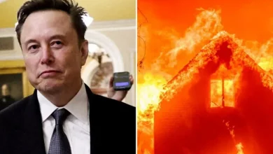 ایلان ماسک به مناطق تحت تاثیر آتشسوزی لسآنجلس اینترنت رایگان استارلینک ارائه میکند