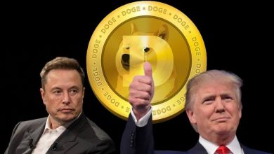 ایلان ماسک نگرانیها درباره D.O.G.E را کنار زد؛ دوجکوین آماده صعود دوباره!