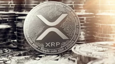 با افزایش چشمگیر قیمت، بنیاد ریپل اکنون ۱۲۵ میلیارد دلار XRP دارد