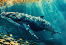 با کاهش قیمت‌ها، نهنگ‌های کریپتو به کدام توکن‌ها روی آورده‌اند؟