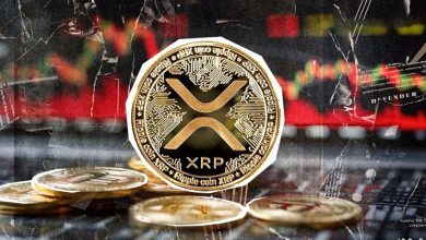 تحلیل نوسانات قیمت ریپل؛ چراغ سبزی برای یک رشد چشمگیر یا هشدار سقوط؟