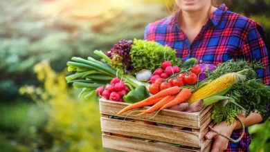 ترکیبات گیاهی «پلی فنول»؛ میتوانند قلبی سالم و فشار خونی پایین به ما هدیه دهند