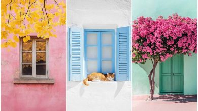 تصاویر مینیمال از پنجرهها و درها که الهامبخش زندگیاند