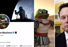 تغییر نام ایلان ماسک در ایکس باعث سود 3 میلیون دلاری یک تریدر شد