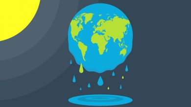 تغییرات اقلیمی شوکهکننده در سال ۲۰۲۴