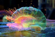 توسعه مدل جدیدی برای درک حافظه‌های فضایی و اپیزودیک در مغز