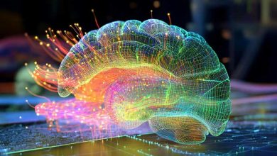 توسعه مدل جدیدی برای درک حافظههای فضایی و اپیزودیک در مغز