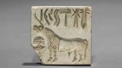 جایزه یک میلیون دلاری برای کسی که این کتیبههای 5300 ساله را رمزگشایی کند