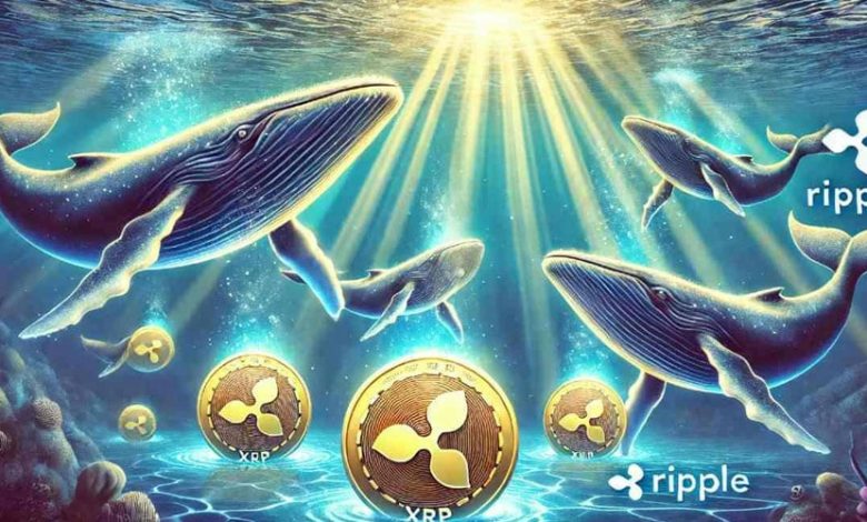 خرید یک میلیارد XRP توسط نهنگ‌ها؛ آیا ریپل از اتریوم پیشی می‌گیرد؟