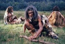 دانشمندان افسانه «رژیم غذایی پارینهسنگی» را رد کردند