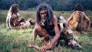 دانشمندان افسانه «رژیم غذایی پارینهسنگی» را رد کردند