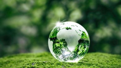 دانشمندان طول عمر نهایی بیوسفر زمین را محاسبه کردند