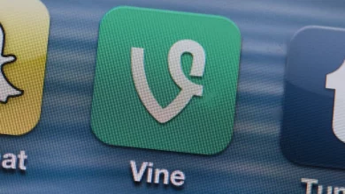 در غیاب تیکتاک، ایلان ماسک ایده بازگشت Vine به پلتفرم ایکس را بررسی میکند
