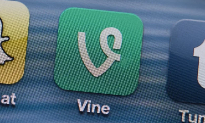 در غیاب تیک‌تاک، ایلان ماسک ایده بازگشت Vine به پلتفرم ایکس را بررسی می‌کند