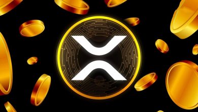 درخشش بی‌سابقه‌ میم‌کوین‌های ریپل؛ قیمت آرمی ۳۰ درصد افزایش یافت!