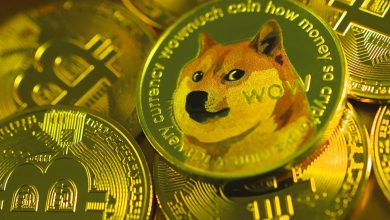 دوجکوین در آستانه رشد انفجاری است؟