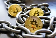 شاپرک برای باز شدن درگاه پرداخت پلتفرمهای رمزارز شرط گذاشت