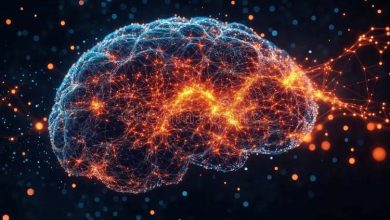 شاید جهان ما یک مغز غولپیکر باشد