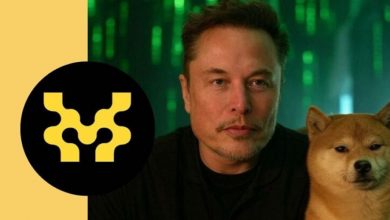 شایعه داغ همکاری موومنت با دپارتمان ایلان ماسک؛ قیمت MOVE صعودی شد!