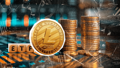 شتاب صعودی لایتکوین در پی درخواست ETF؛ رالی قیمت LTC تا کجا پیش میرود؟