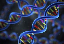 شناسایی انواع جهشهای ژن عامل سرطان؛ درمان هدفمند در راه است