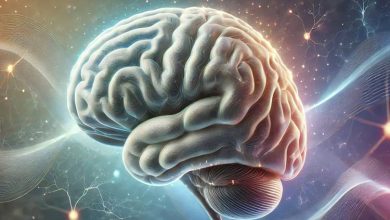 شناسایی نشانگر عصبی برای چالشهای شناختی مرتبط با اسکیزوفرنی