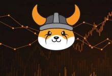 فلوکی در آستانه صعود عظیم ۴۸۰ درصدی؛ دو سطح کلیدی که باید در نظر بگیرید!