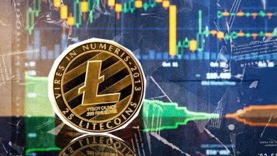 لایتکوین سال ۲۰۲۵ را با رکوردشکنی شروع کرد! تحلیل دستاوردها و آینده این رمزارز