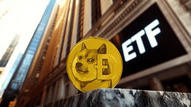 میمکوینها در راه وال استریت؟ بیتوایز هم برای ETF دوجکوین درخواست داد!