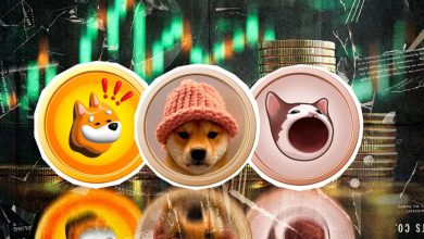 میمکوینها دوباره جان گرفتند؛ سگ کلاهدار و توشی در کانون توجه بازار!