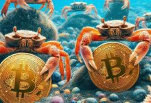 میگوها و خرچنگ‌ها ۲.۷ میلیارد دلار بیت‌کوین خریدند! منتظر رکوردهای جدید باشیم؟