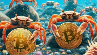 میگوها و خرچنگها ۲.۷ میلیارد دلار بیتکوین خریدند! منتظر رکوردهای جدید باشیم؟