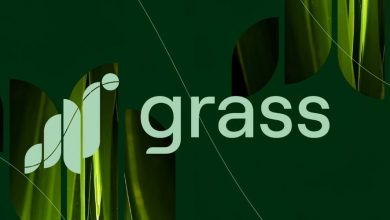 نقشه‌ راه جاه‌طلبانه Grass برای ۲۰۲۵؛ هوش مصنوعی و داده‌های غیرمتمرکز، کلید رشد قیمت؟
