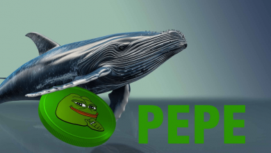نهنگ‌های پپه به بازی بازگشتند! قیمت PEPE آماده حرکت صعودی است؟