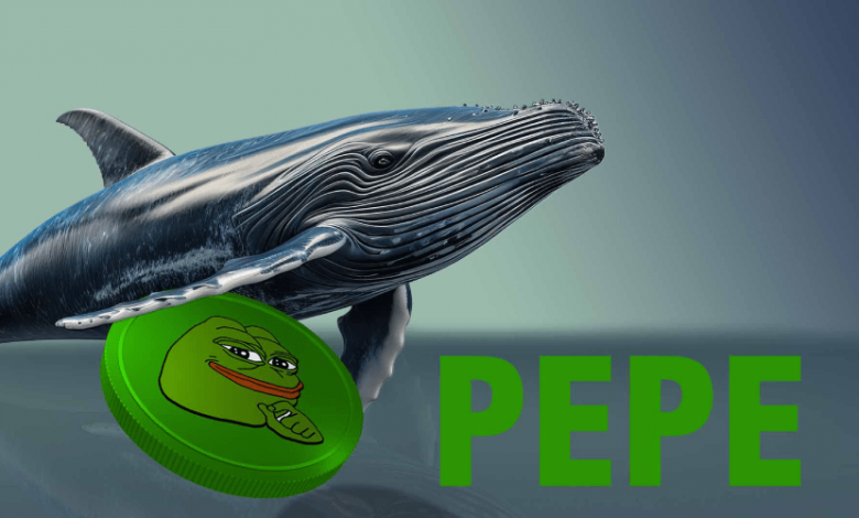 نهنگ‌های پپه به بازی بازگشتند! قیمت PEPE آماده حرکت صعودی است؟