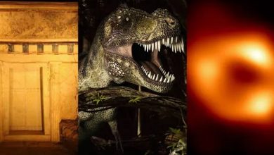 هشت رویداد علمی جنجالبرانگیز سال ۲۰۲۴