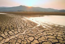 هشدار دانشمندان: کلانخشکسالیها در سرتاسر جهان رو به افزایش هستند
