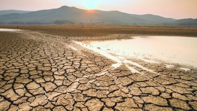 هشدار دانشمندان: کلانخشکسالیها در سرتاسر جهان رو به افزایش هستند