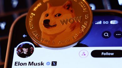 همکاری X و ویزا در توسعه پرداختهای دیجیتال؛ دوجکوین هم وارد بازی میشود؟