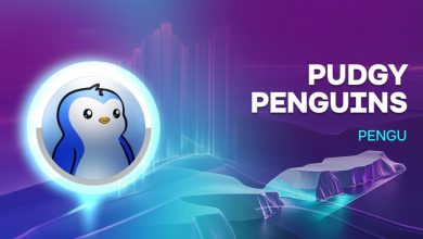 پاجی پنگوئنز آماده پرواز؟ تحلیل مقاومتهای کلیدی و چشمانداز قیمت PENGU