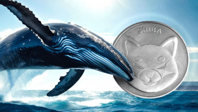 پیشبینی موج صعودی جدید شیبا اینو؛ نهنگهای خریدار به بازار برگشتهاند!