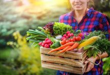 چرا روز به روز به طرفداران «ترفندهایی برای حفظ سلامتی» افزوده میشود؟