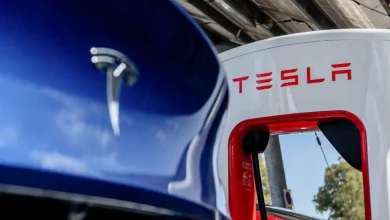 چشمانداز خودروهای تسلا در سال 2025، از مدلهای جدید تا شغل دولتی ایلان ماسک