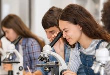 چه عواملی در موفقیت علمی دانش‌آموزان موثر است؟