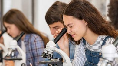 چه عواملی در موفقیت علمی دانش‌آموزان موثر است؟