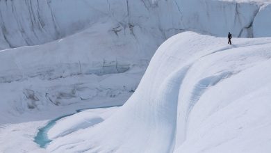 گنجینه پنهان گرینلند؛ چرا بزرگترین جزیره دنیا توجهات را جلب کرده است؟