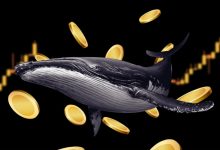 ۶ توکنی که در خطر سقوط قیمت هستند؛ نهنگها در حال تخلیه ذخایر به بازار!