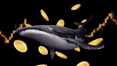 ۶ توکنی که در خطر سقوط قیمت هستند؛ نهنگها در حال تخلیه ذخایر به بازار!